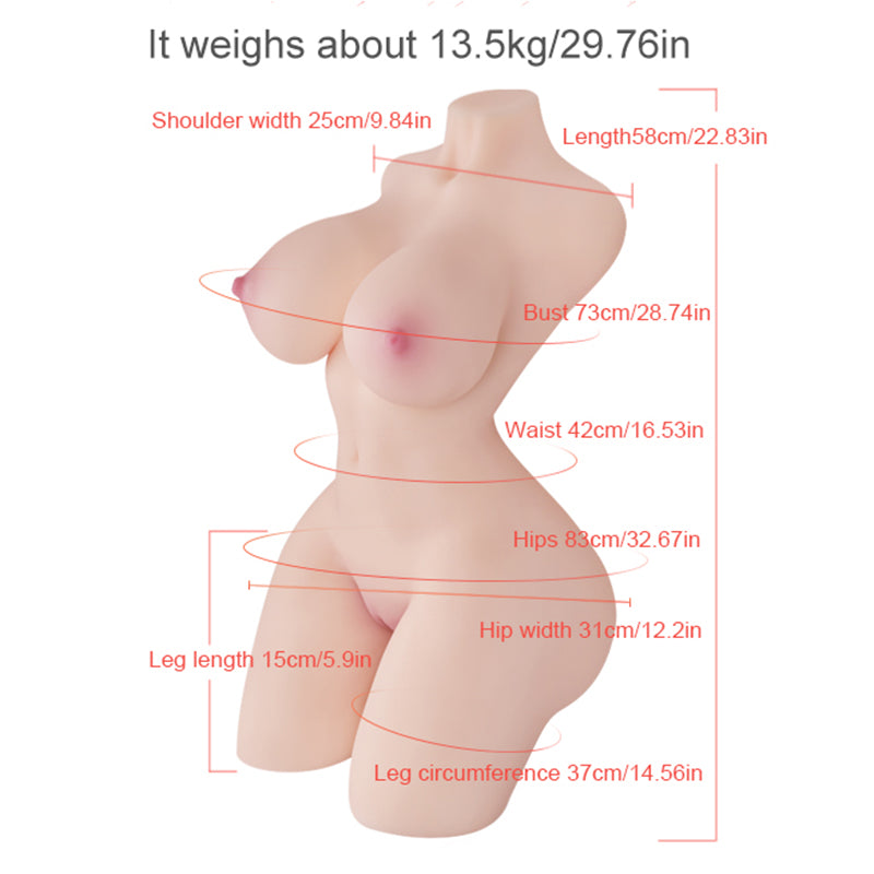 Zenobia-29.76LB Female Sex Torso